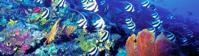 Le Meridien Fisherman's Cove, Seychelles